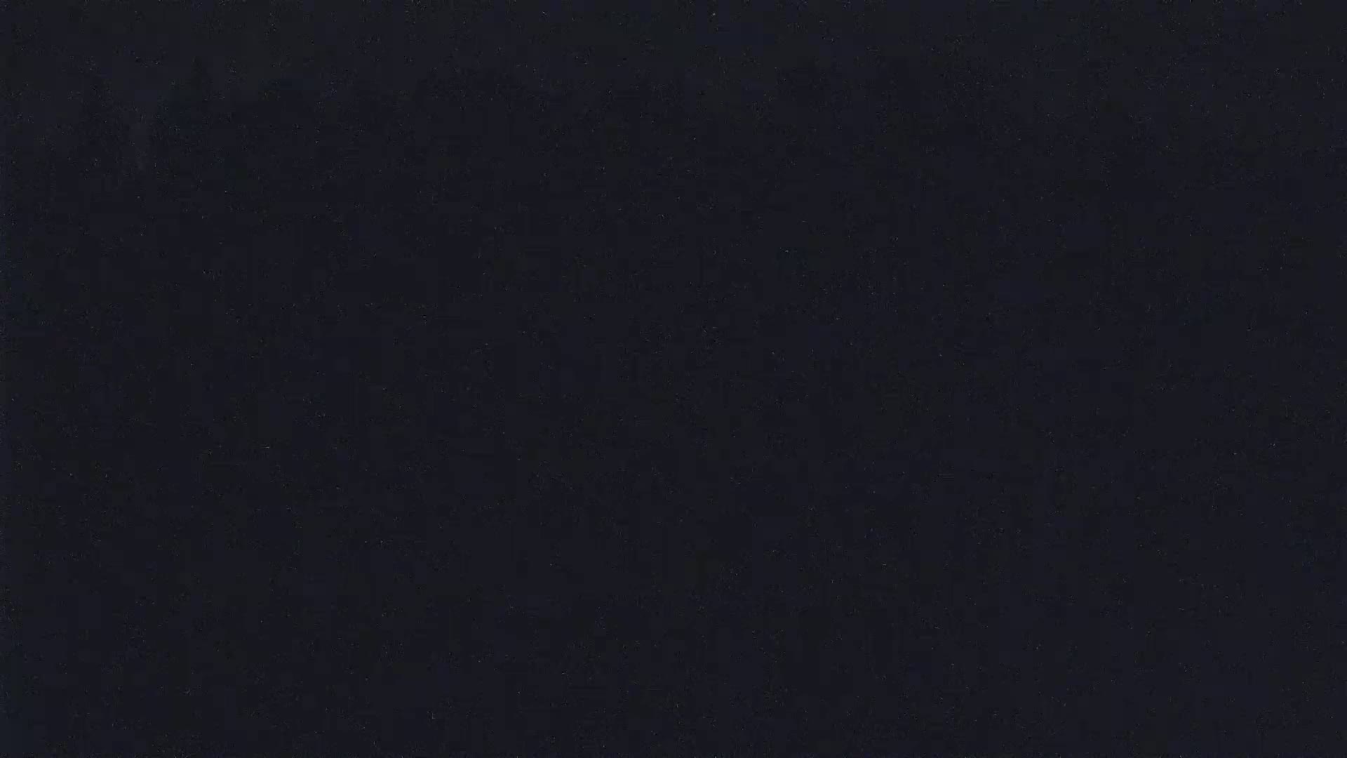 A dark, uniformly colored surface fills the image.