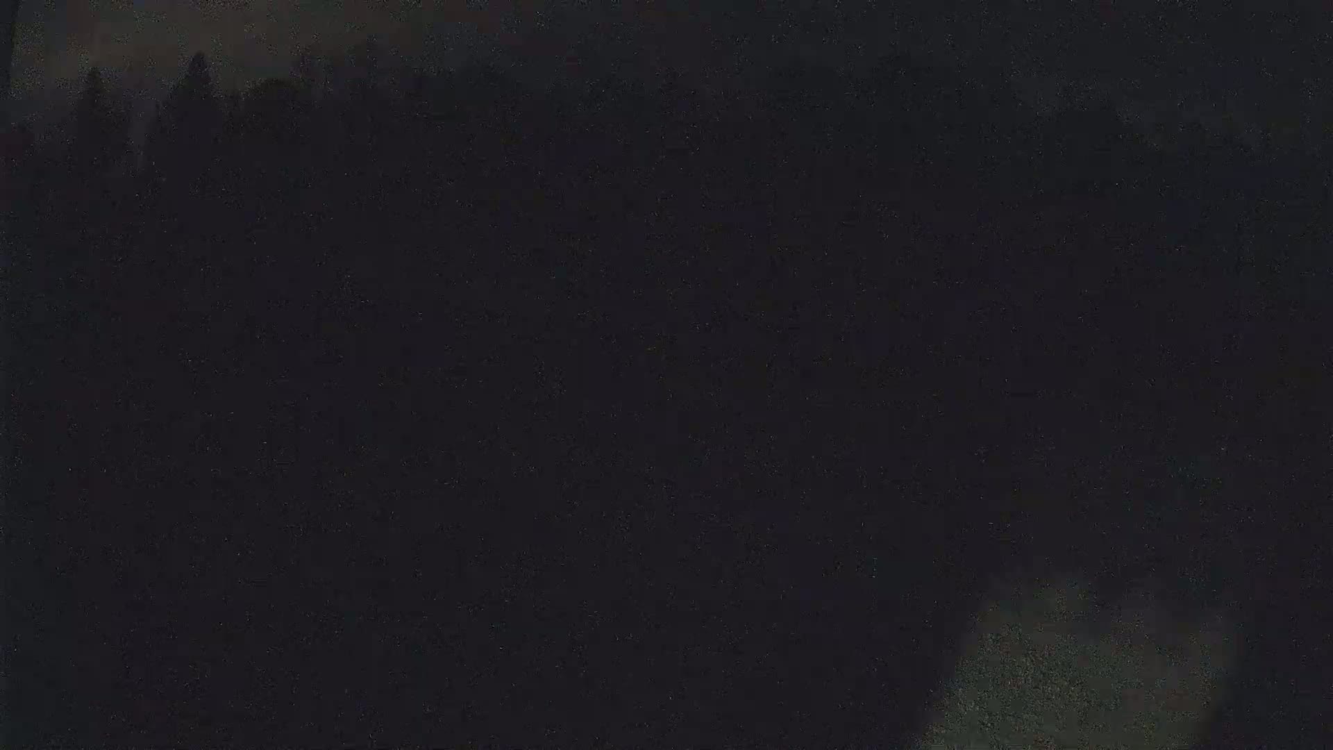 A dark, possibly nighttime image shows a silhouetted line of trees in the distance.