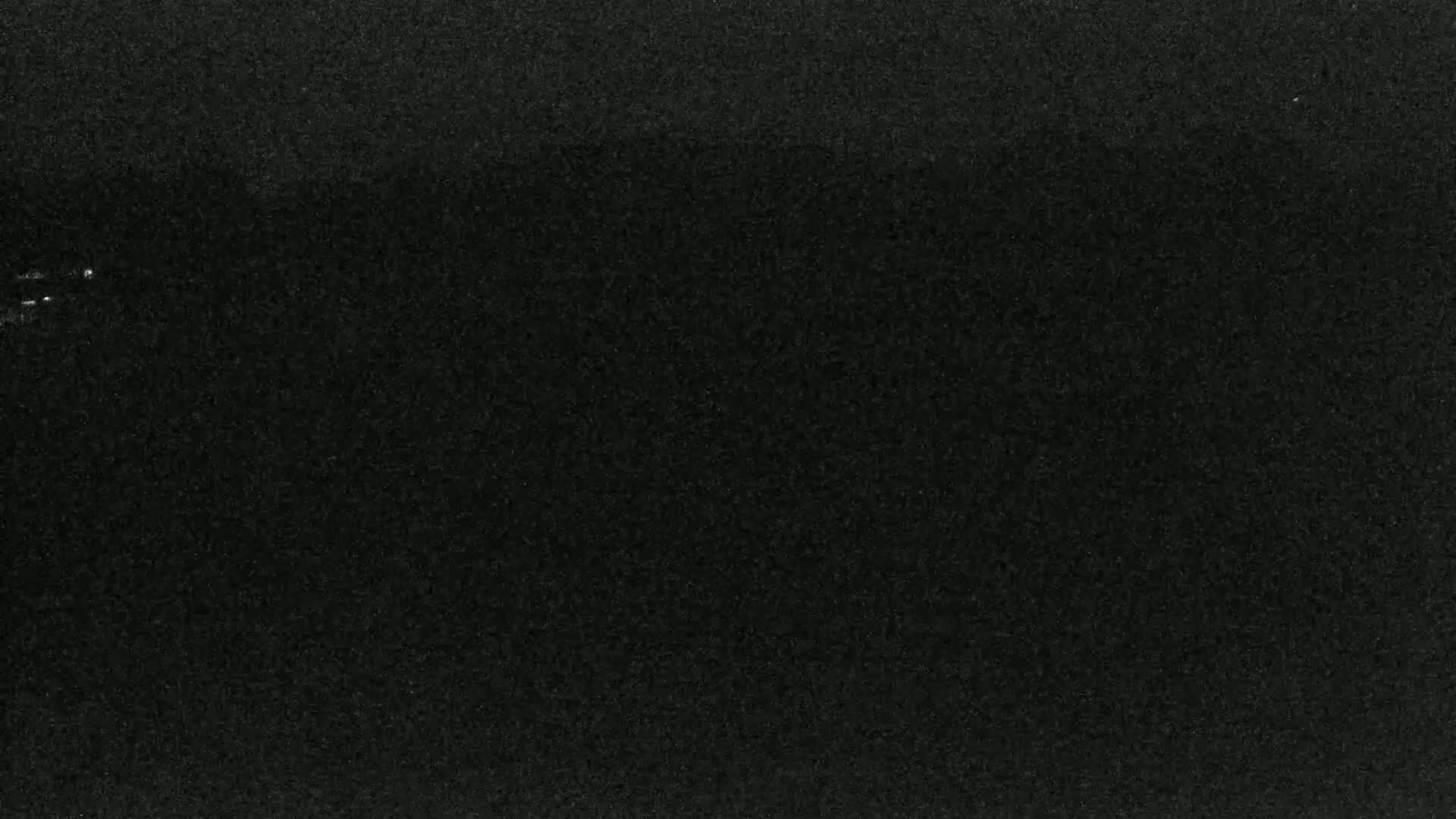 A dark, grainy surface fills the entire image.