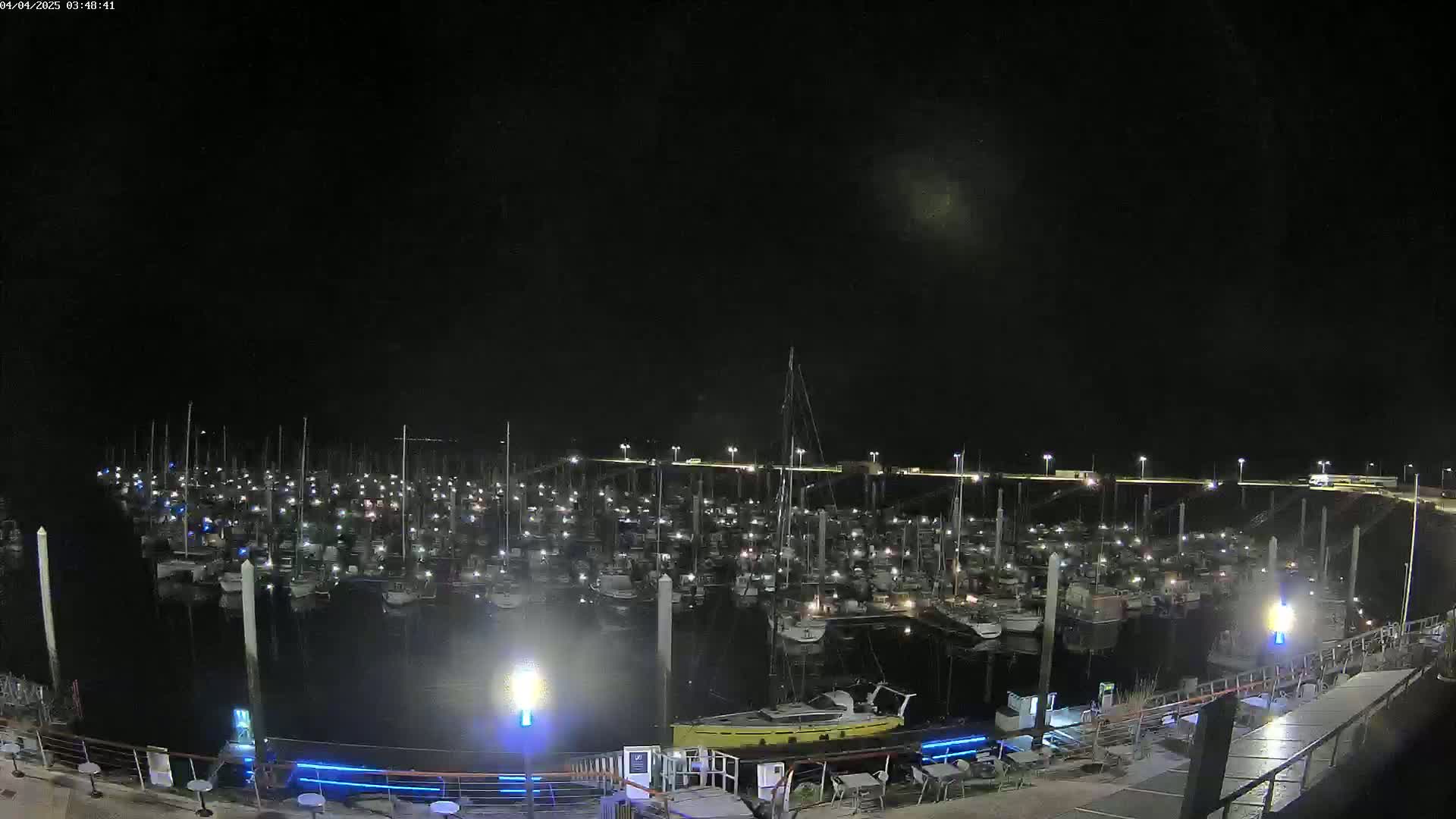 A marina filled with numerous boats is seen at night under a clear, dark sky.