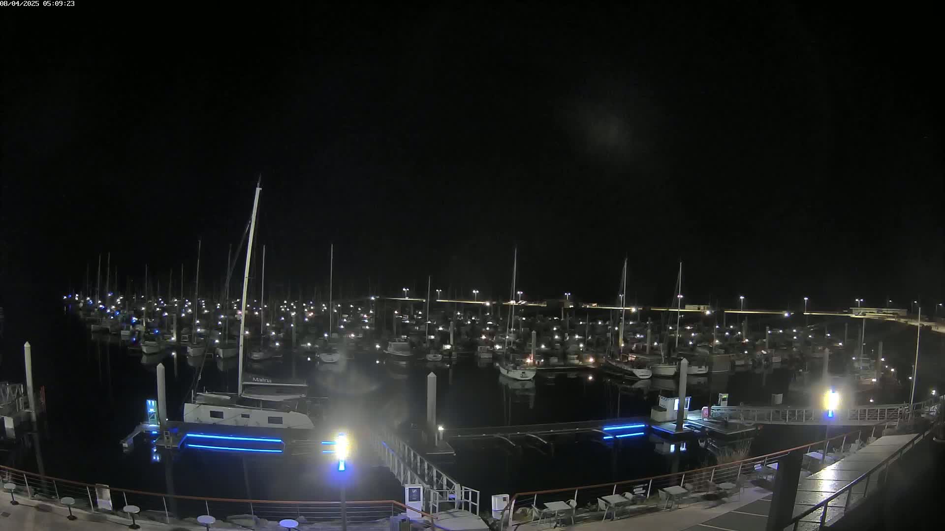 A marina filled with numerous boats at night under a dark, clear sky.