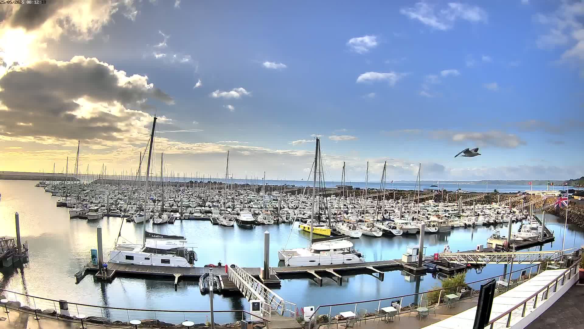 A large marina filled with numerous boats is seen under a partly cloudy sky, with a bird in flight.