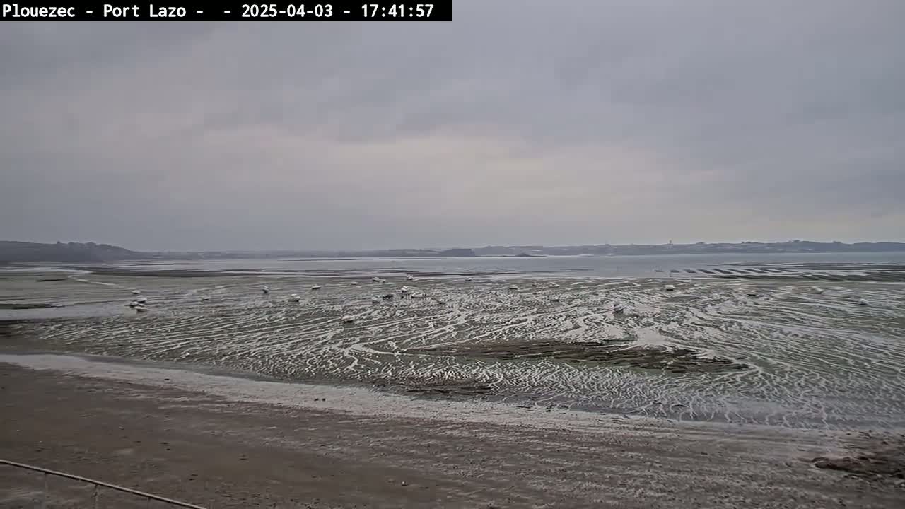 A wide, flat expanse of tidal mudflats patterned with rivulets of water stretches to a calm, gray body of water under an overcast sky.