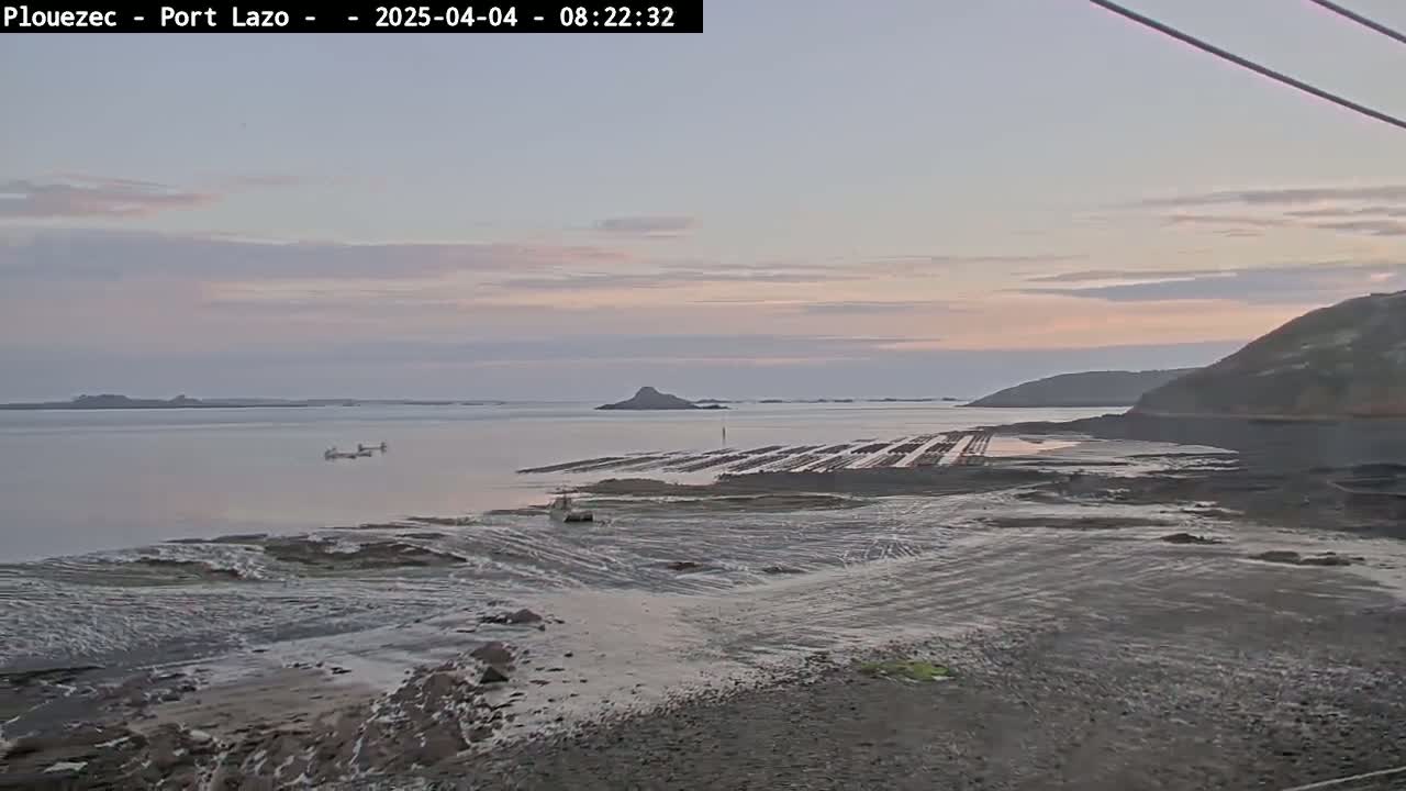A calm, pale-pink sunrise illuminates a coastal scene of exposed tidal flats, mussel farms, and distant hills under a mostly clear sky.