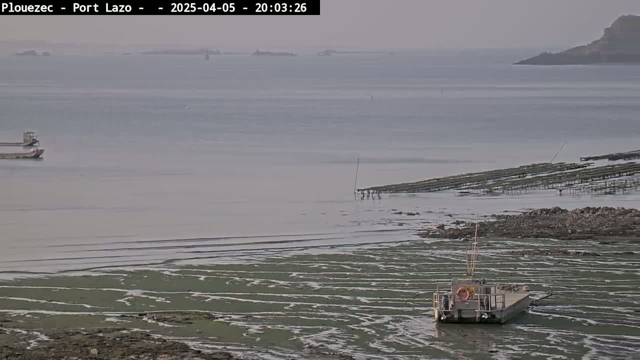 A flat, calm body of water shows a partially exposed seabed with green algae, several small boats, and oyster beds in the background under an overcast sky.