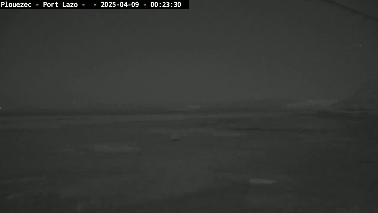 A nighttime, low-light image shows a flat, dark expanse of land or water under a dark sky.