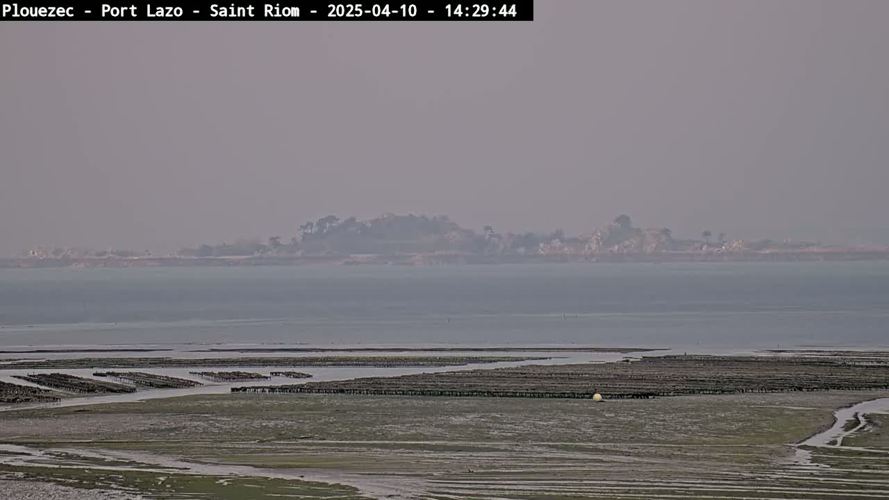 A hazy view of a coastal area shows a body of water with oyster beds in the foreground and a distant tree-lined island.