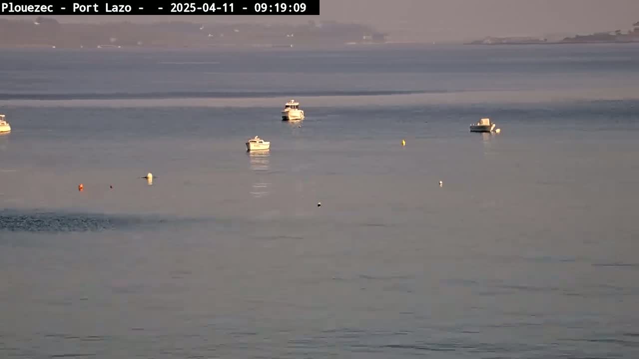 Several small boats are moored in calm, hazy water, with a distant shoreline visible in the background.