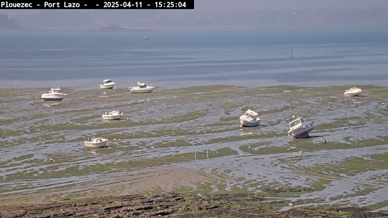 Several small white boats are grounded on a mudflat at low tide under a mostly clear sky.