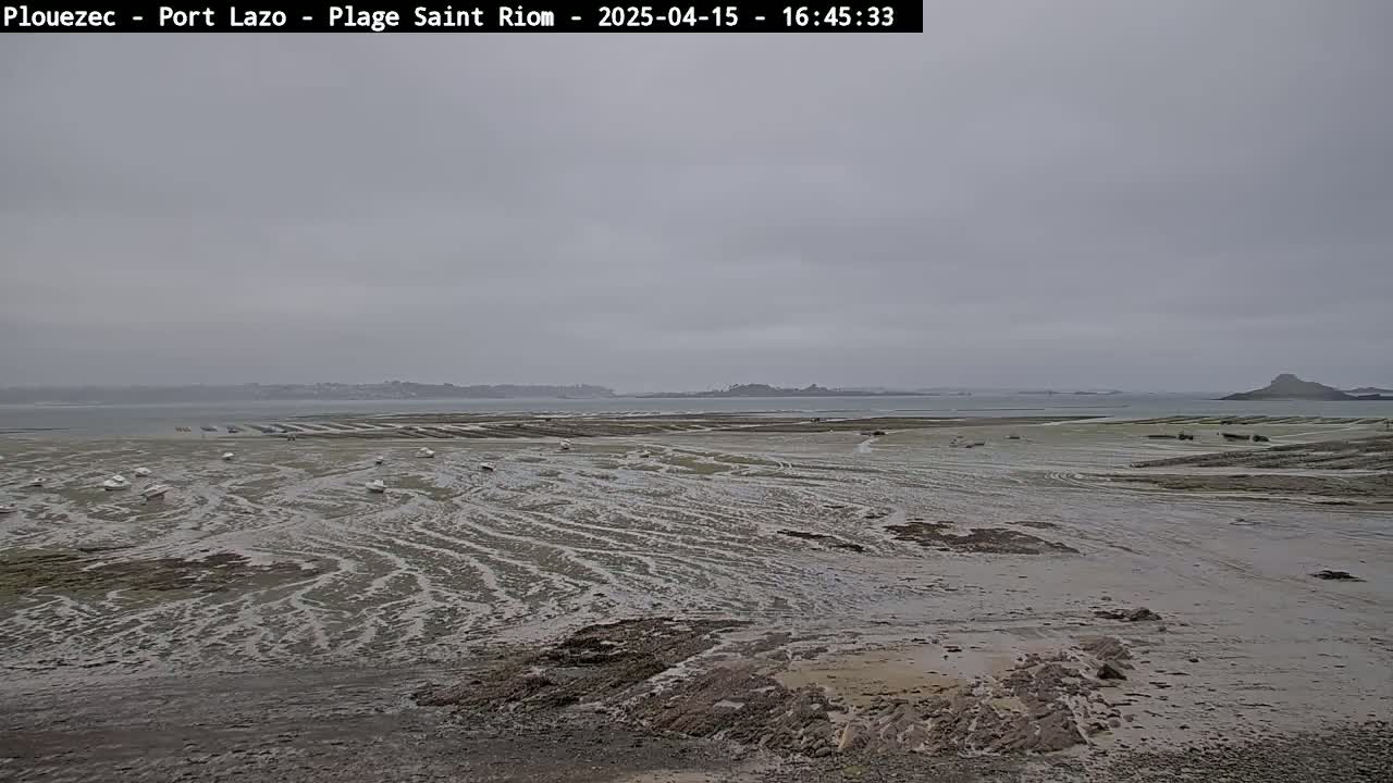 A wide, overcast shot shows a muddy, tidal flat with numerous small boats scattered across it, a calm body of water in the background with distant land visible.