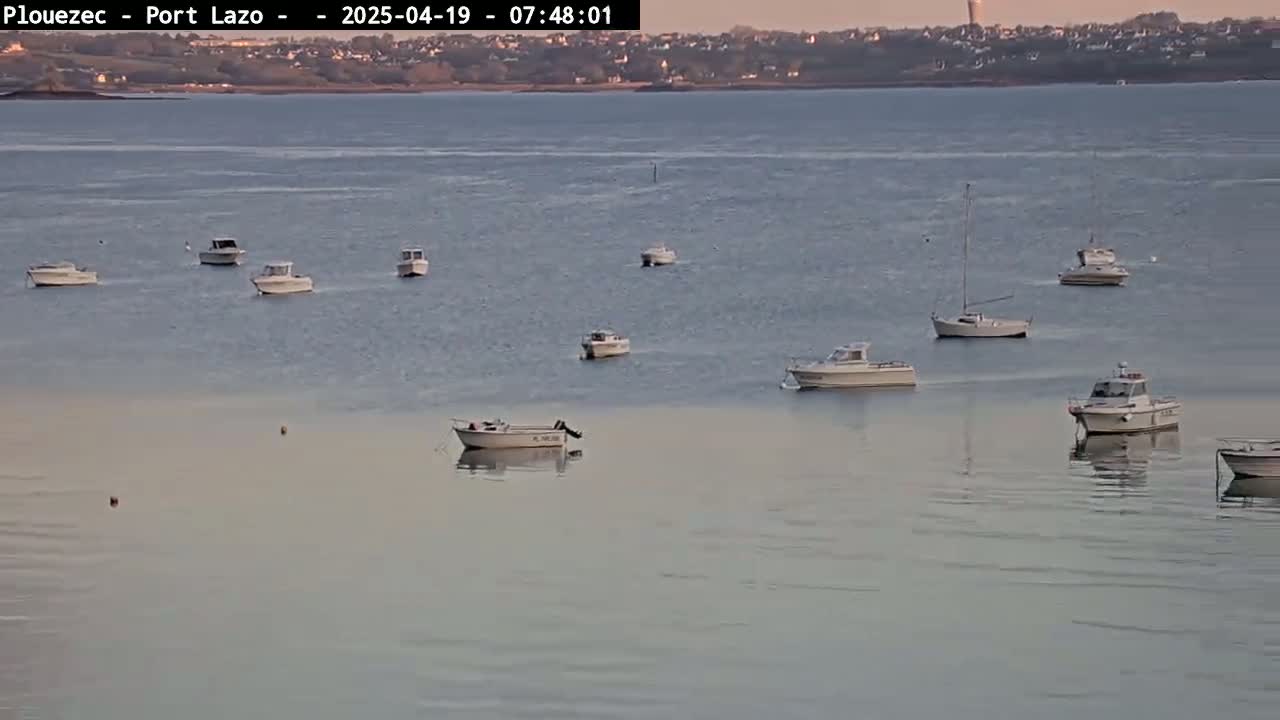 Several small white boats are moored in calm water near a distant shoreline under a pale sky.