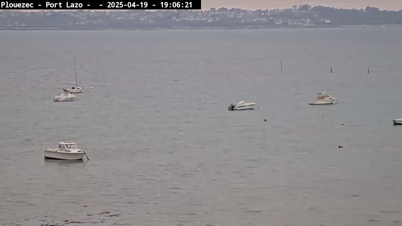 Several small boats are moored in calm, gray water, with a distant shoreline visible in the background.