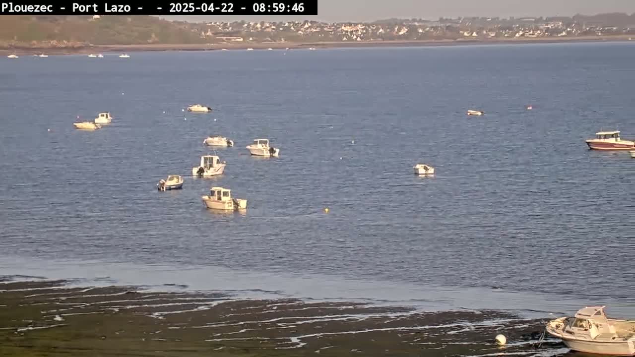 Several small boats are moored in calm water near a shoreline with exposed mudflats under a clear sky.