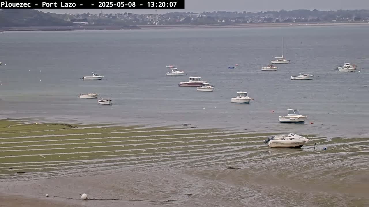 Numerous small boats are moored in calm water near a shore with exposed, ridged tidal flats under an overcast sky.