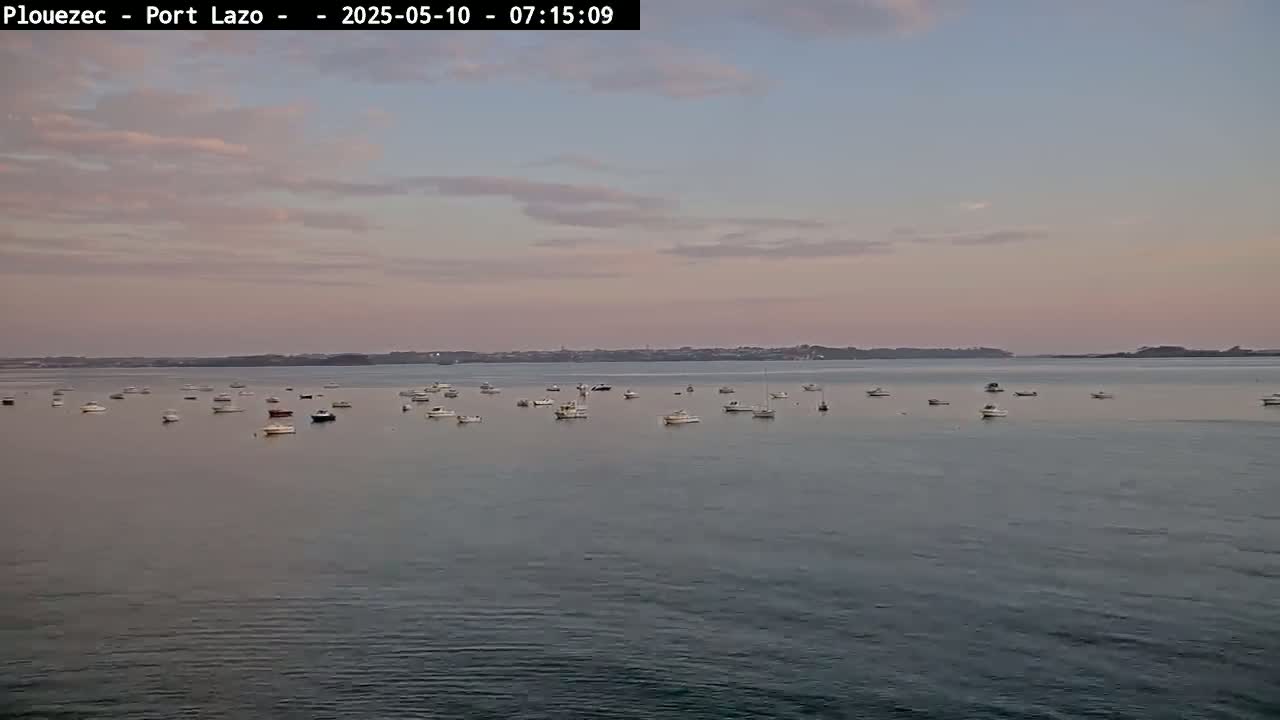 Many small boats are scattered across a calm body of water under a pale pink and gray sky.