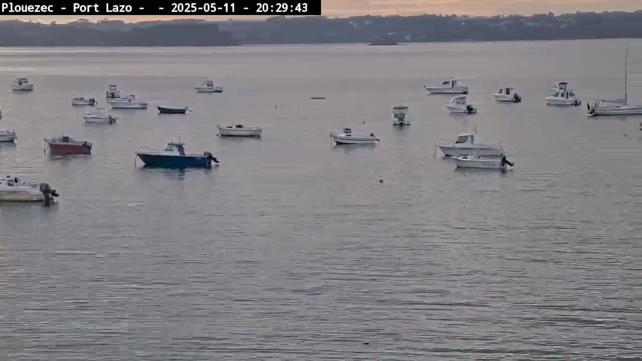 Numerous small motorboats are moored in calm water at dusk.