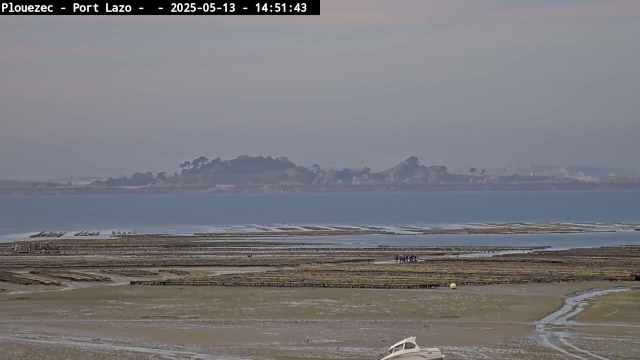 A hazy, overcast day reveals a wide expanse of tidal flats dotted with oyster beds, a calm body of water, and a distant shoreline.