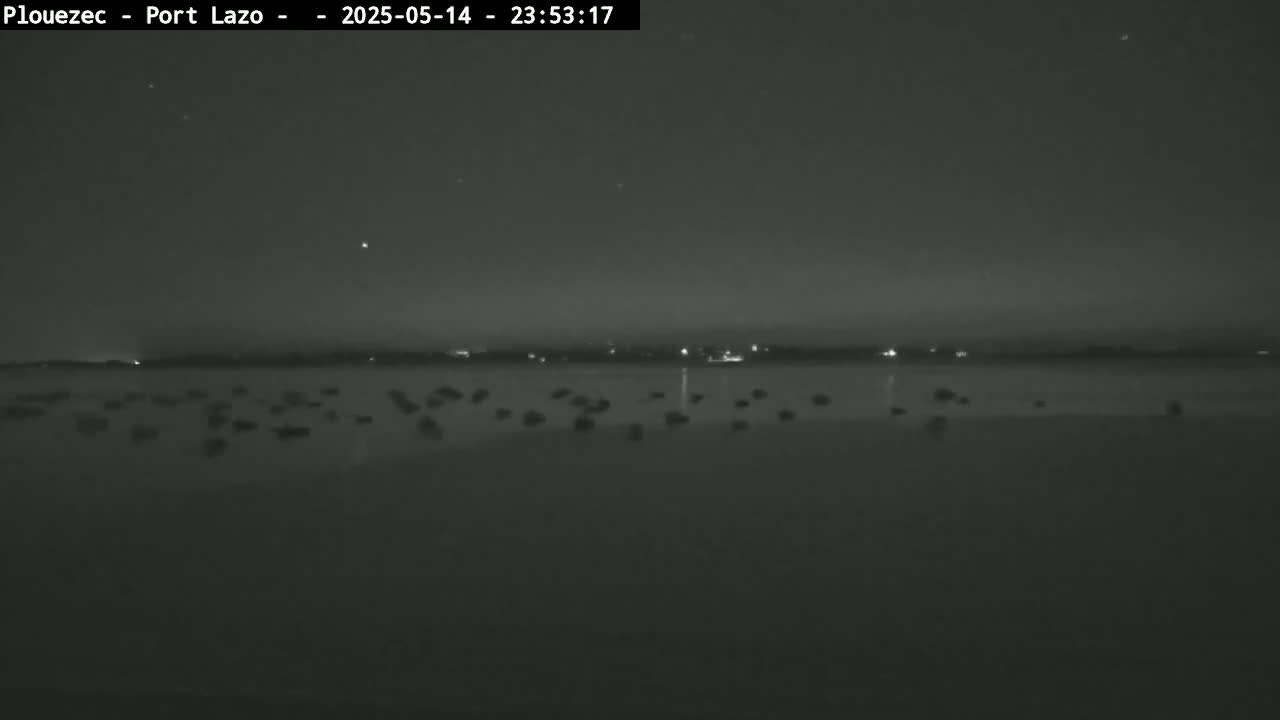 A nighttime, low-light view shows a dark body of water with a few small objects scattered across its surface, and a faintly lit shoreline in the distance under a clear, dark sky.