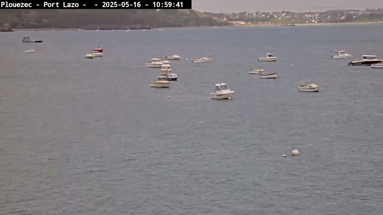 Several small motorboats are moored in calm, gray water, with a distant shoreline visible under an overcast sky.