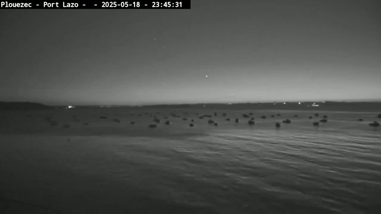 A nighttime, grayscale image shows a calm body of water with numerous dark objects scattered across its surface under a clear, dark sky.