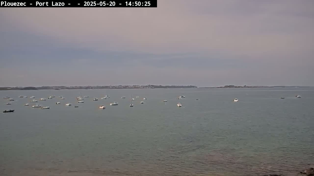 Many small boats are scattered across a calm, gray body of water under an overcast sky, with a distant shoreline visible in the background.