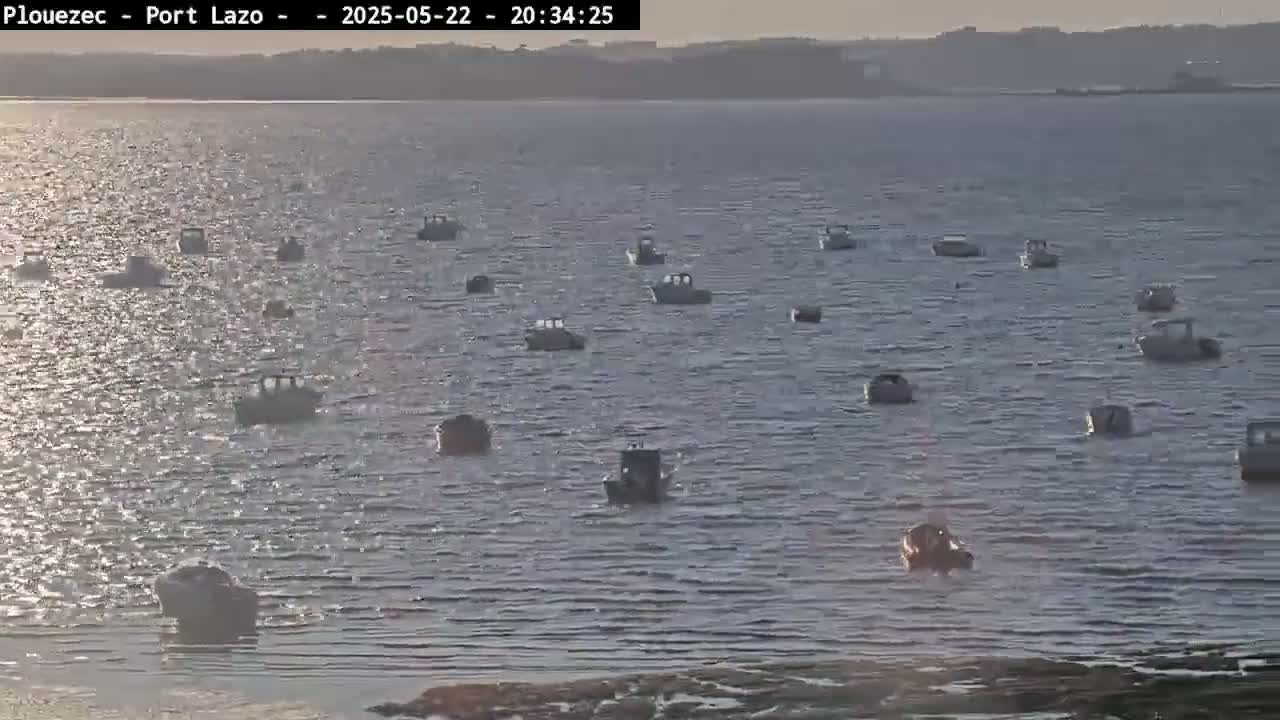 Many small boats are moored in calm, sunlit water with a distant shoreline visible.