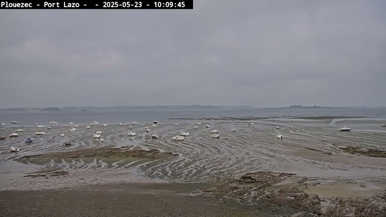 Numerous small boats sit grounded on a tidal flat, under an overcast sky, in front of a calm body of water.