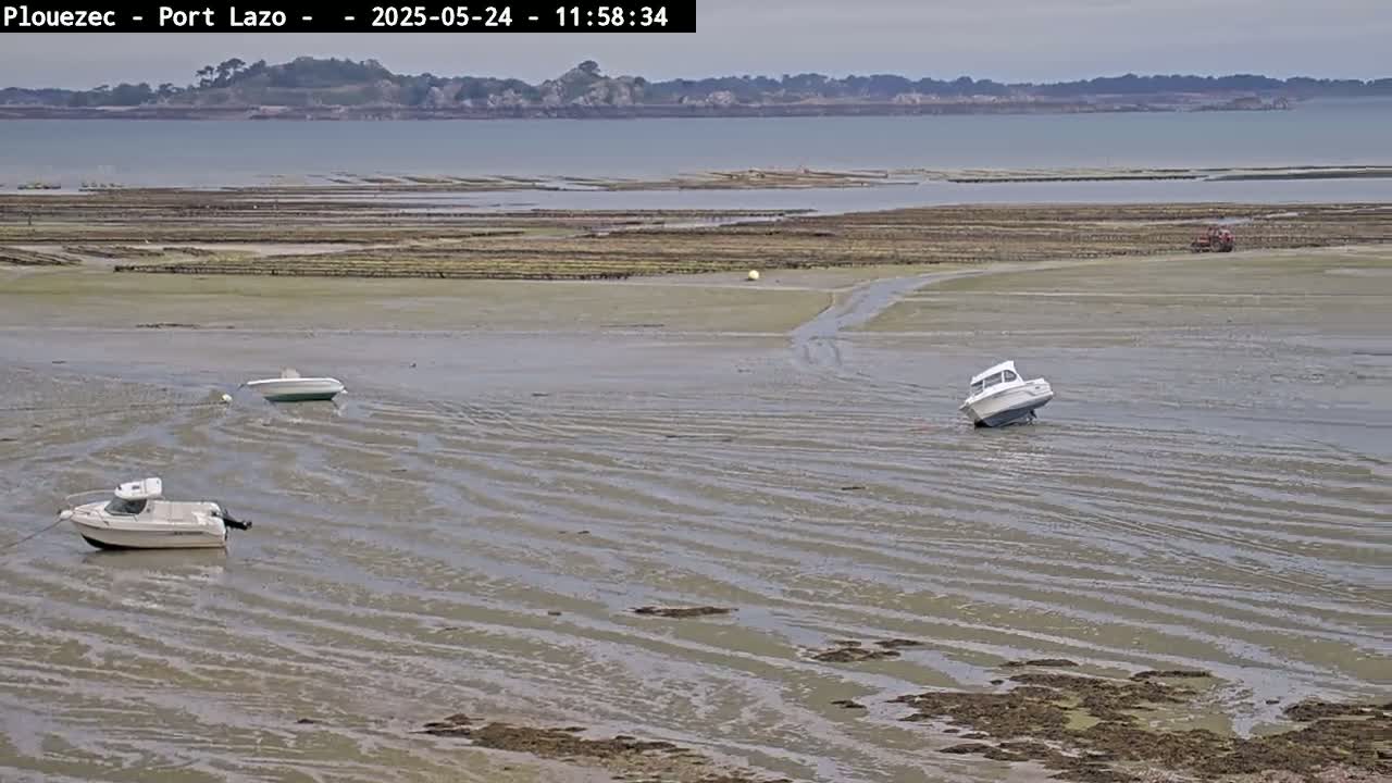 Three small motorboats are grounded in shallow, muddy water near a shoreline with extensive oyster beds under an overcast sky.