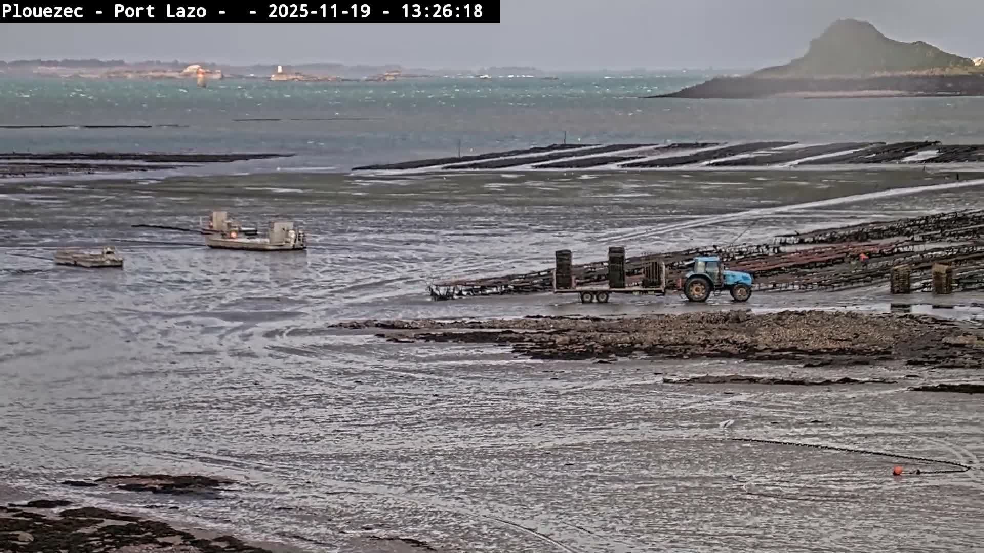 Three small motorboats are grounded in shallow, muddy water near a shoreline with extensive oyster beds under an overcast sky.