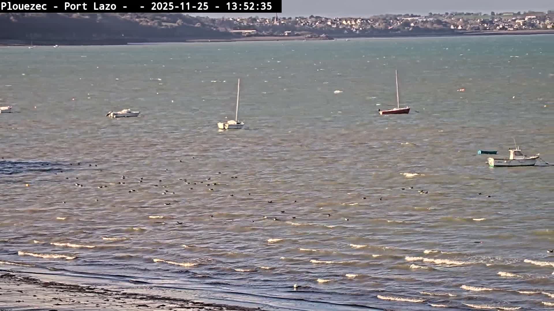 Plouezec Plage de Port Lazo Beach Live Cam - Guingamp, Côtes-d'Armor, Bretagne, France