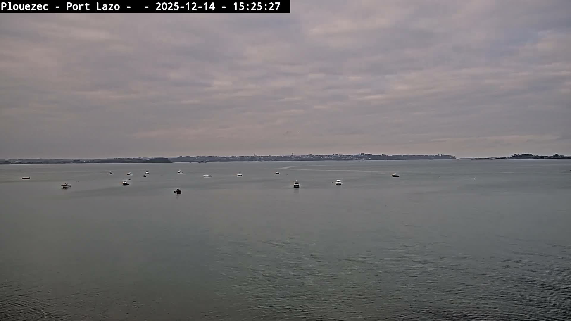 A wide outdoor shot displays a calm bay under overcast conditions, featuring three small boats afloat, a large flock of birds on the water, one boat grounded on the exposed tidal flats in the foreground, and a distant coastal town with buildings along the horizon.