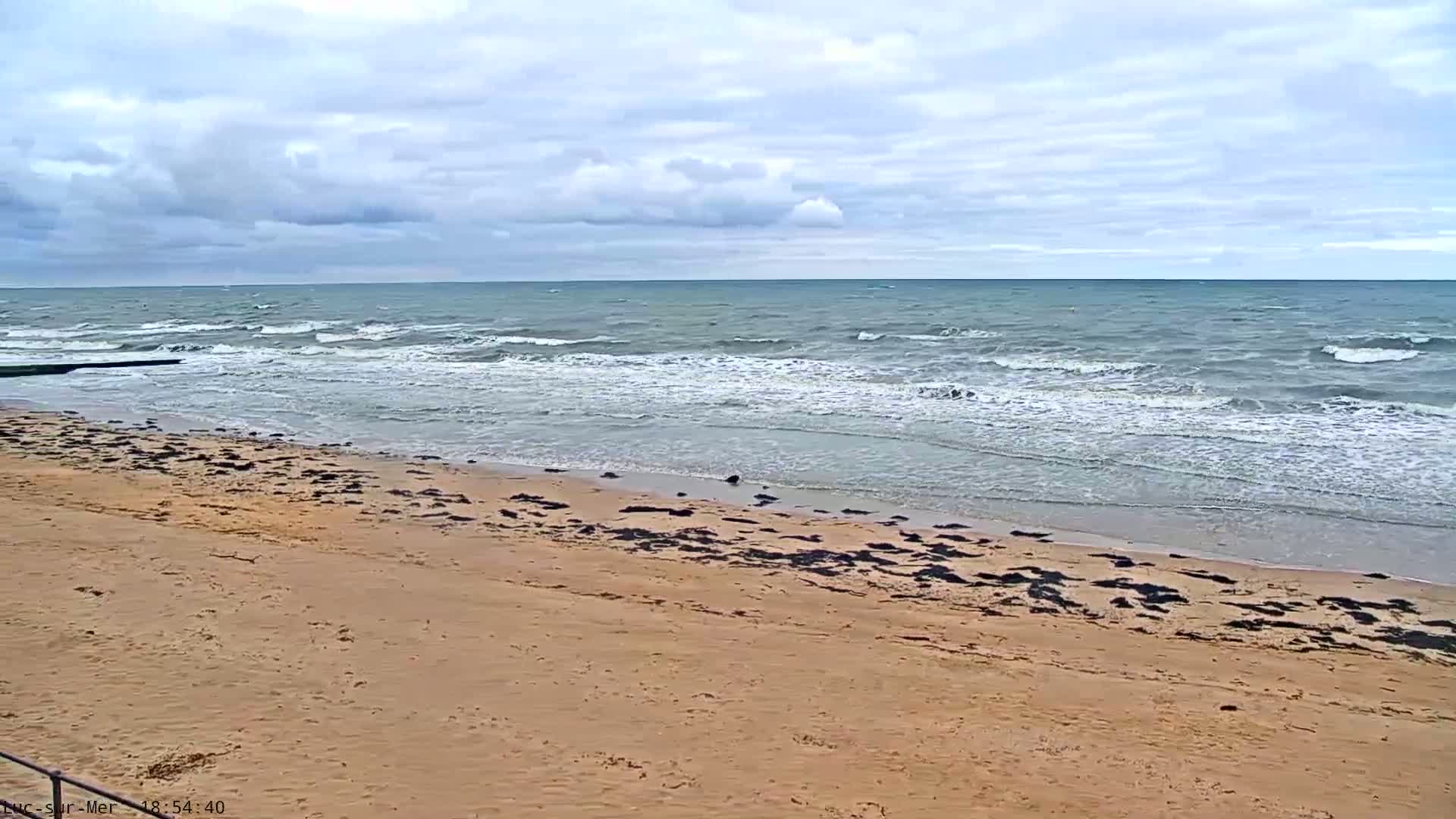 A sandy beach with seaweed scattered along the shoreline meets a choppy sea under a cloudy sky.