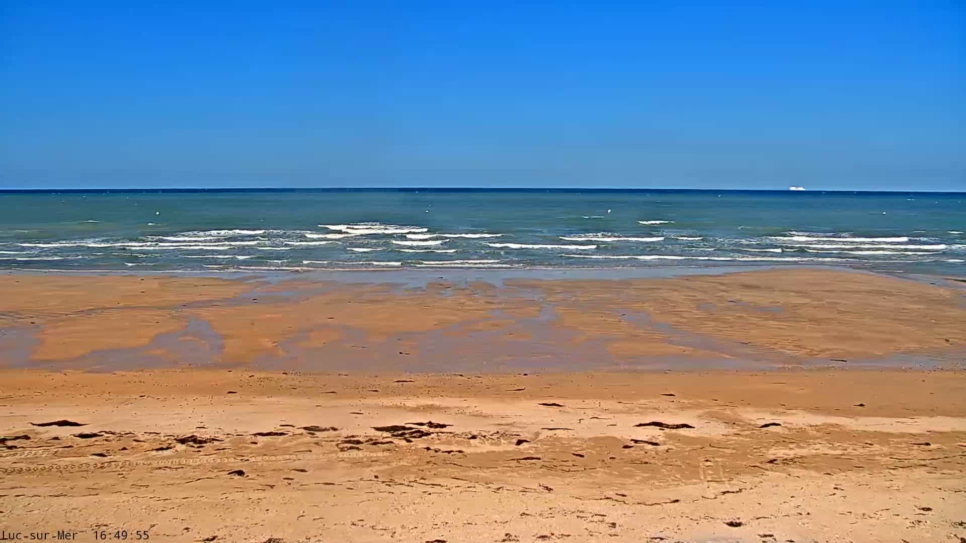 A sandy beach stretches to a calm ocean under a clear blue sky.