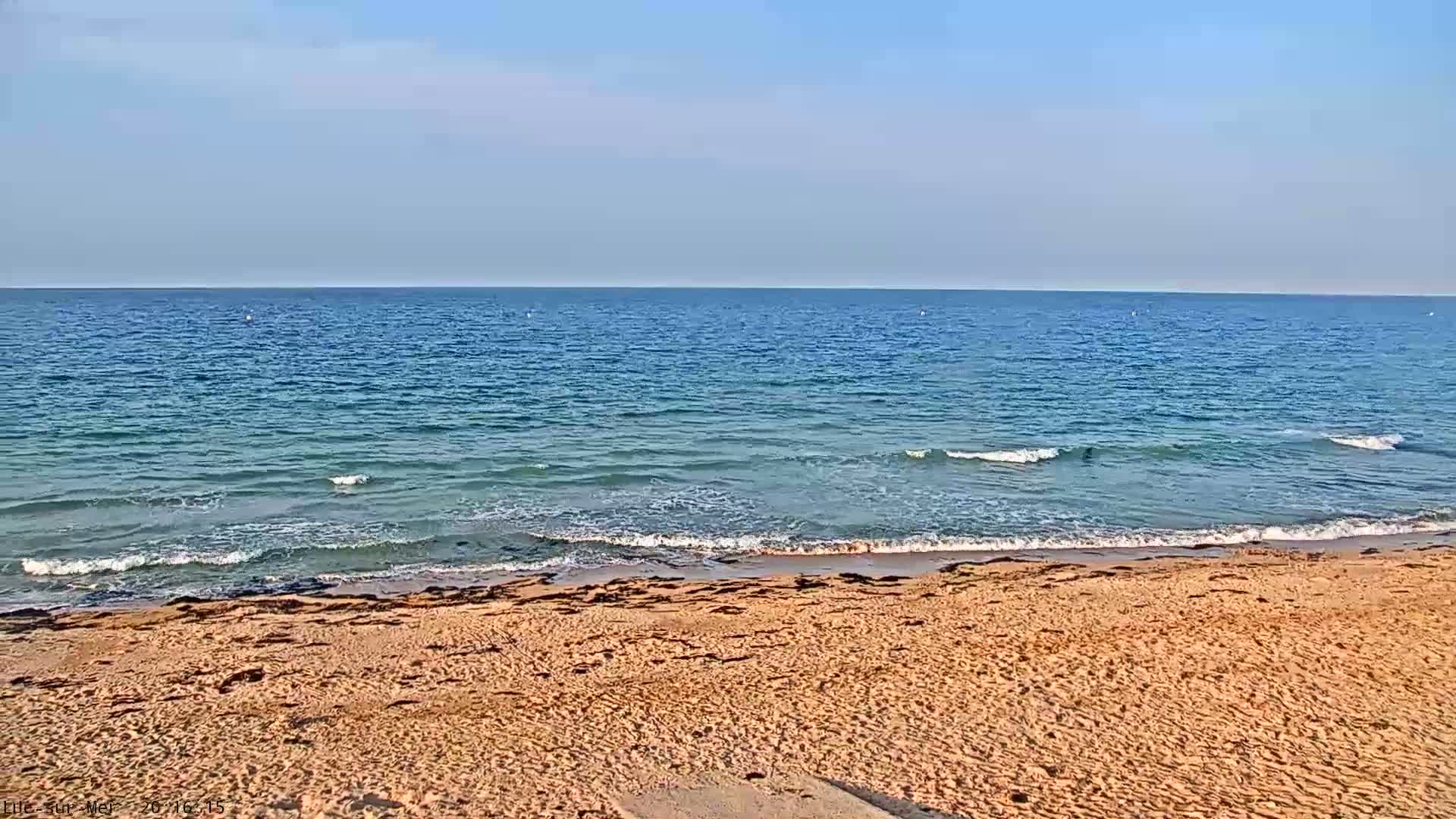 A sandy beach slopes down to a calm, blue ocean under a clear sky.