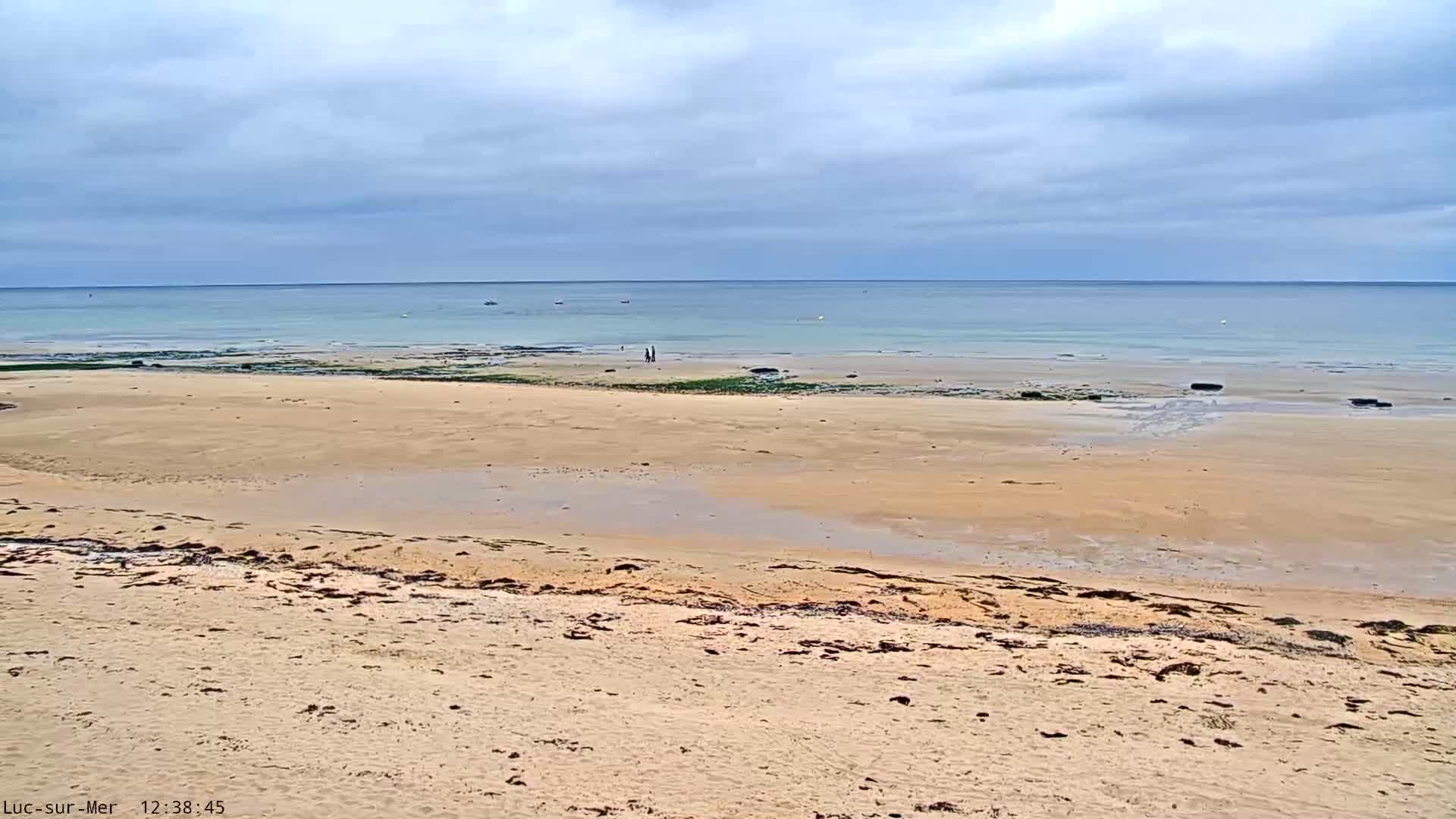 A sandy beach stretches to a calm, light-blue ocean under a cloudy sky.
