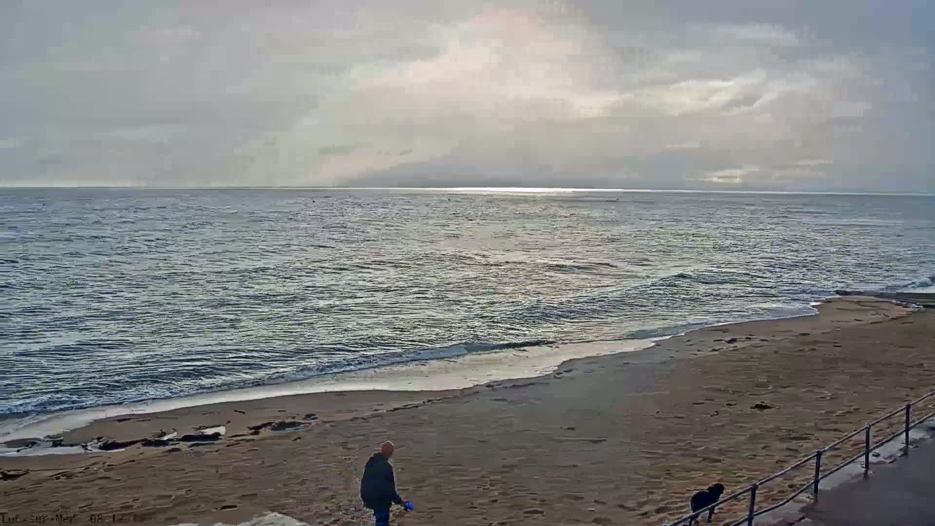 A man and a dog walk along a sandy beach next to a calm, gray sea under an overcast sky.