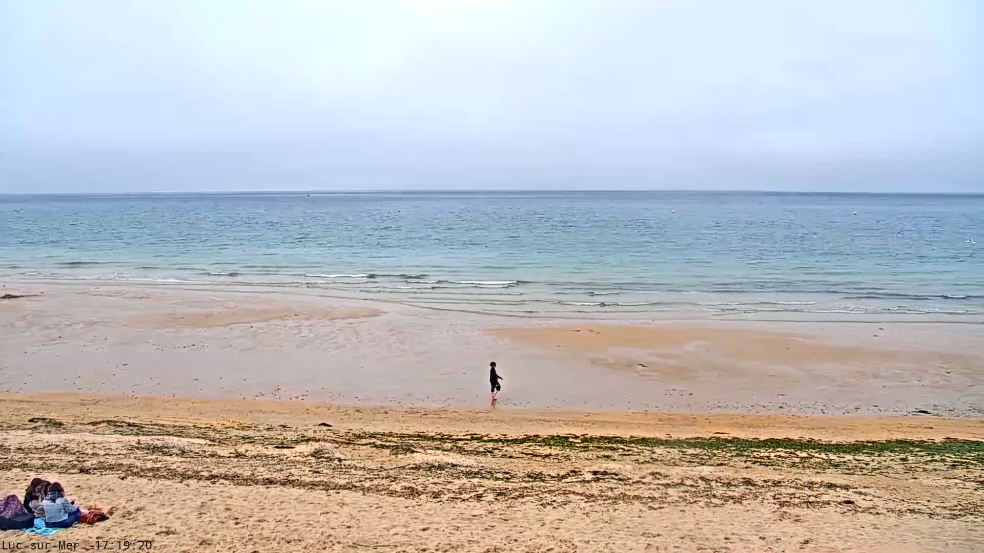 A person walks on a sandy beach near a calm, light-blue ocean under an overcast sky.