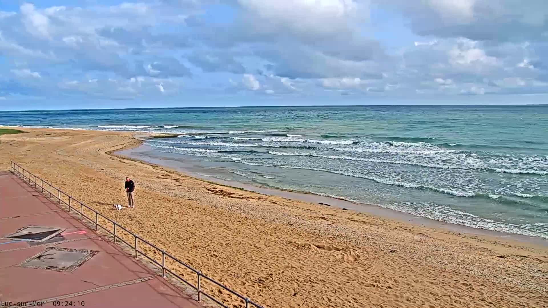 A person with a small dog walks on a sandy beach with moderate waves under a partly cloudy sky.