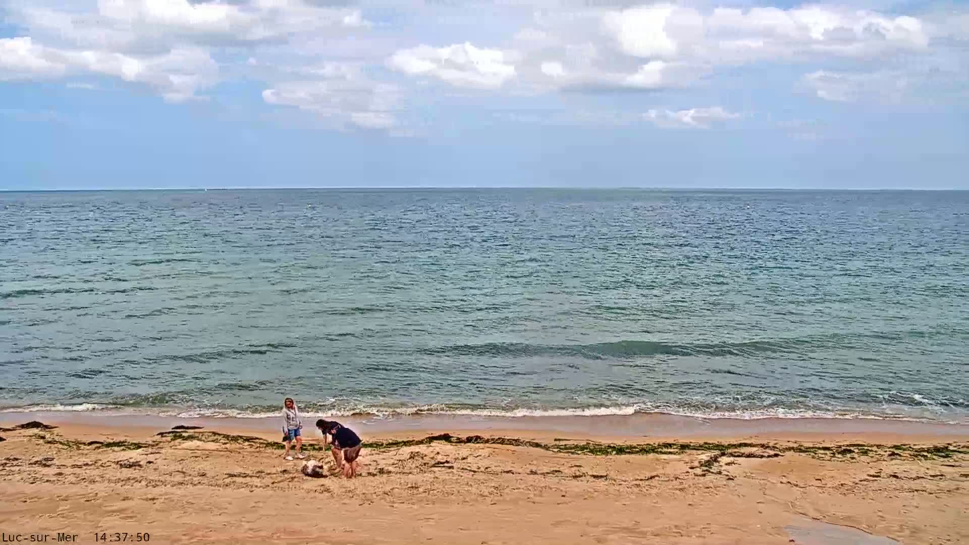 Three people are on a sandy beach next to a calm sea under a partly cloudy sky.
