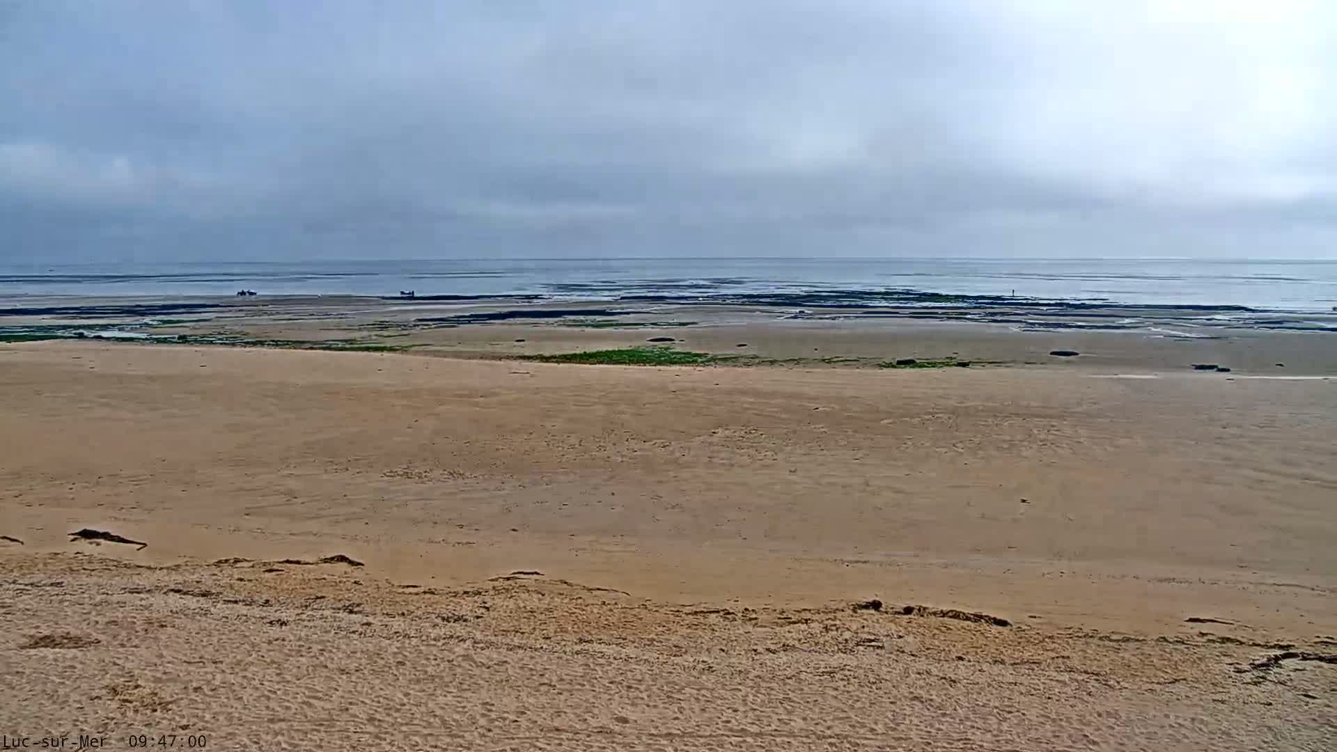 A wide sandy beach stretches toward a calm, overcast ocean where a few small dark shapes are visible in the distance.