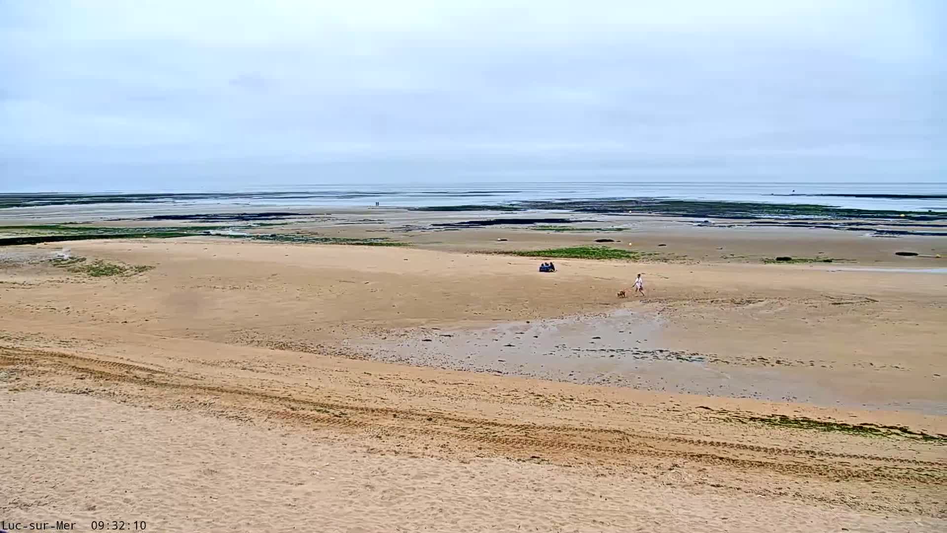 A sandy beach stretches to a calm, overcast ocean, with a few people and a dog visible on the sand.