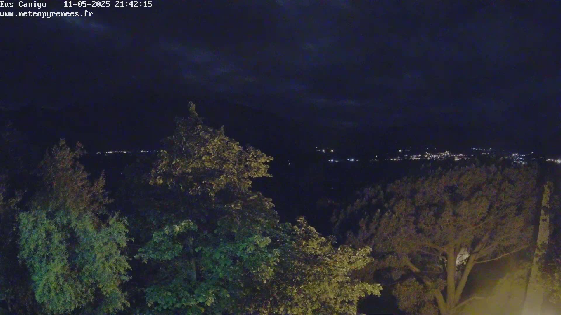 A nighttime view from an elevated vantage point shows a distant town illuminated below, partially obscured by the dark silhouettes of leafy trees in the foreground under a mostly clear, dark sky.