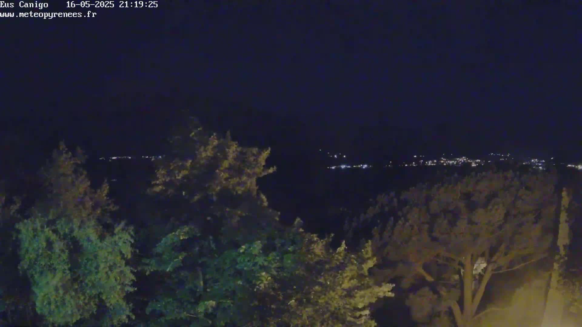 A nighttime view from a hilltop shows a dark sky, illuminated by distant city lights and the silhouettes of trees in the foreground.