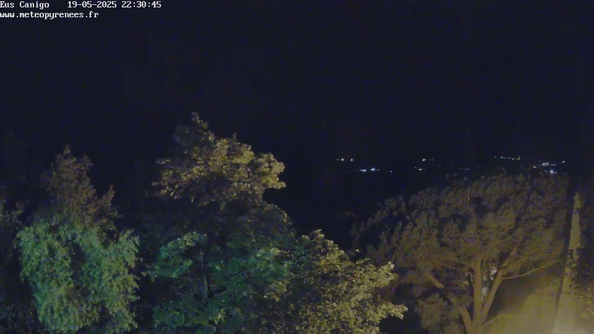 A nighttime view from an elevated position shows dark green trees in the foreground, with a distant cluster of faint lights visible on a dark hillside.