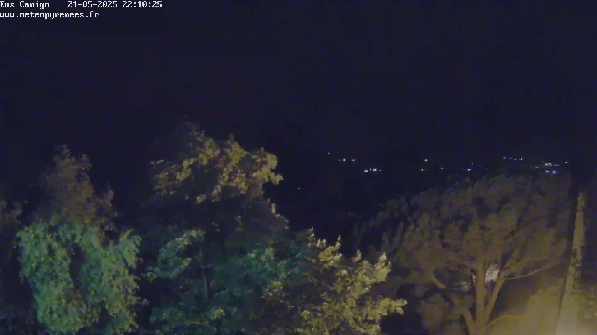 A nighttime view from an elevated position shows dark green trees in the foreground with distant lights faintly visible in the dark night sky.