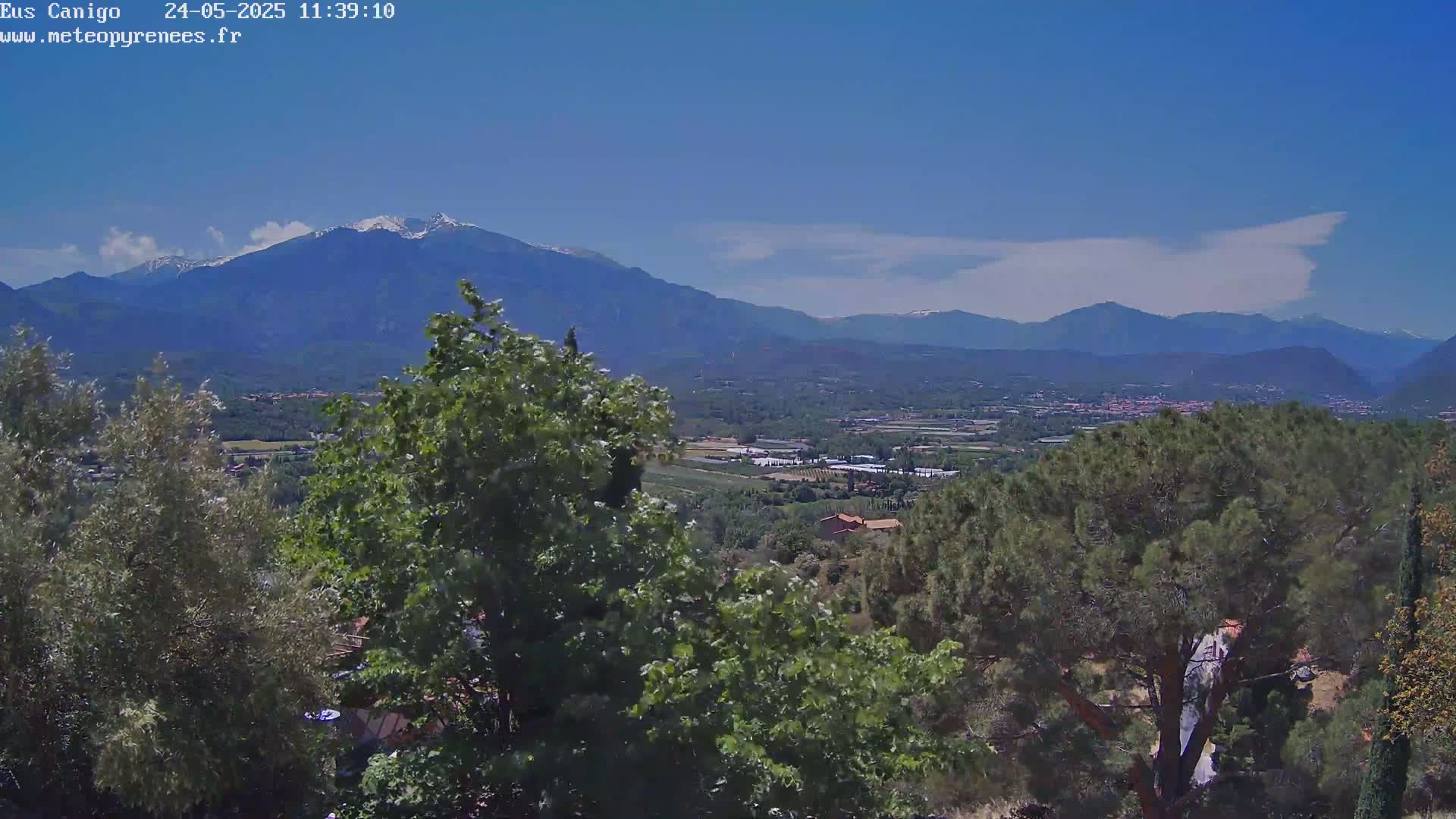A view of a valley with lush green vegetation and snow-capped mountains in the background under a mostly clear blue sky with a few wispy clouds.