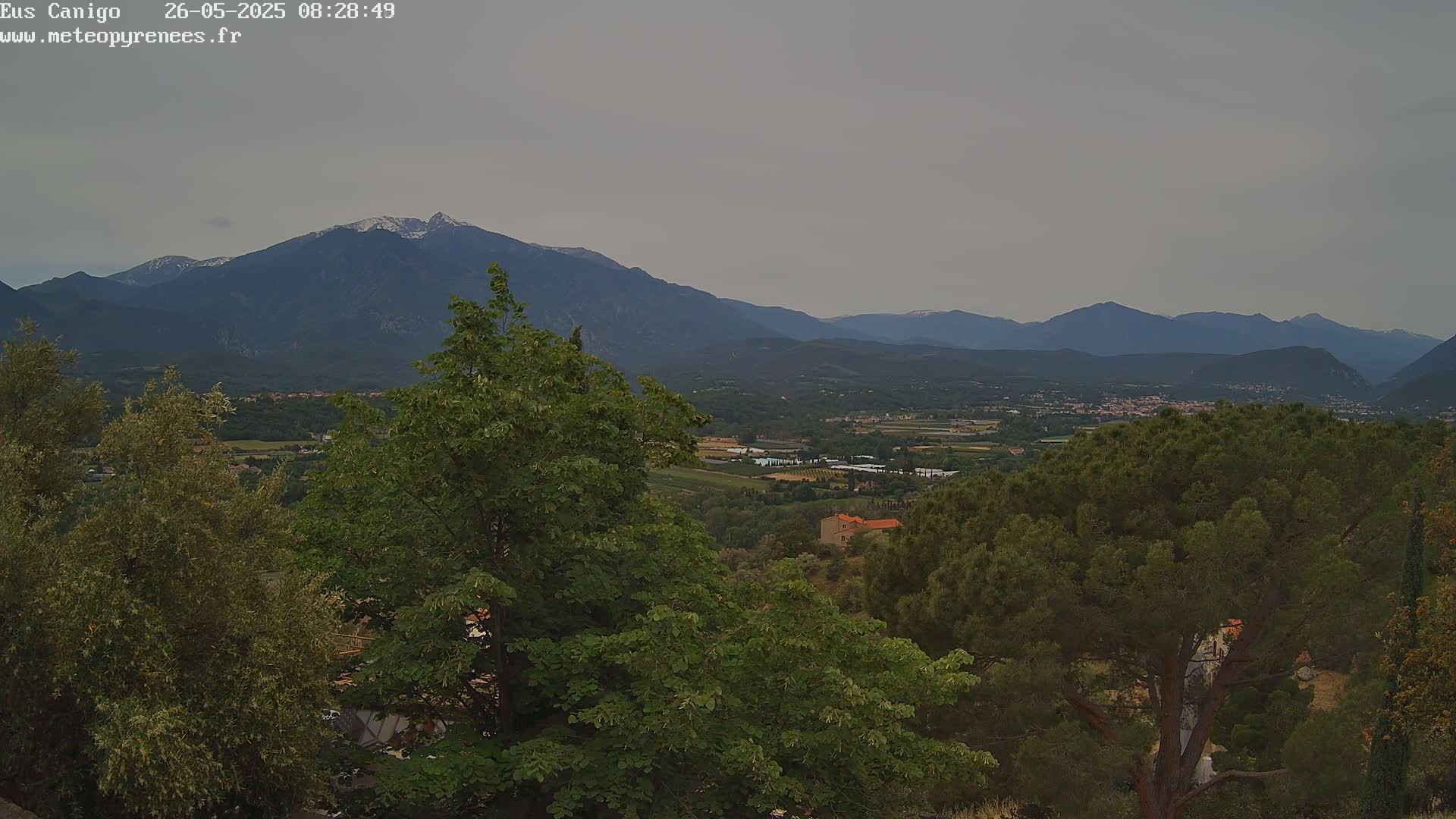 A view of a valley with green trees and a snow-capped mountain range in the background under an overcast sky.
