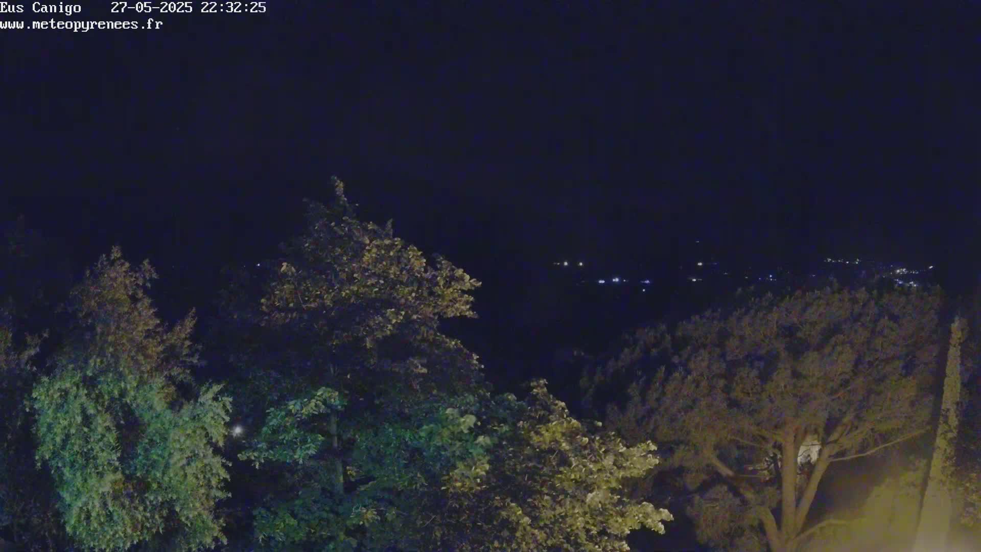 A nighttime view from an elevated position shows a dark landscape with distant lights, partially obscured by the silhouettes of leafy trees.