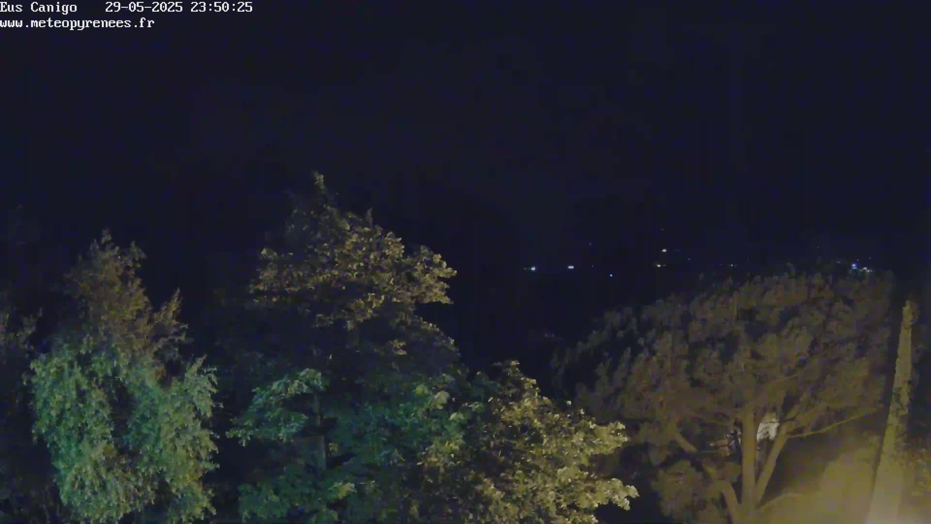A nighttime view shows a dark sky above leafy green trees, with distant lights faintly visible in the background.