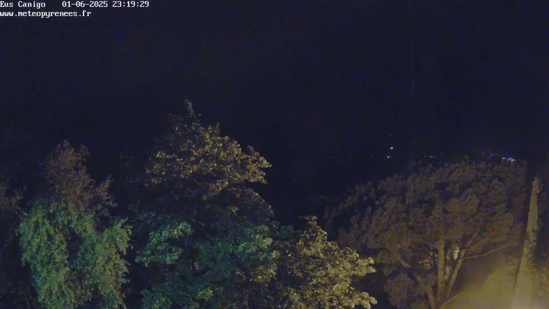 A nighttime view shows the tops of various green trees in the foreground, with distant, faintly lit areas visible in the dark background.